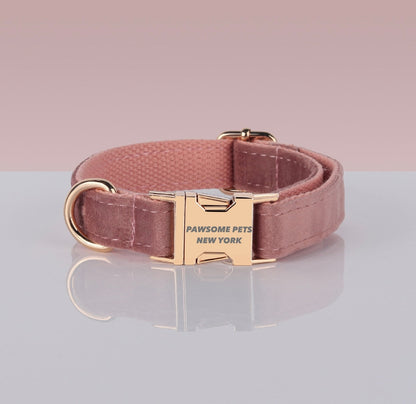 PAWSOME DOG COLLAR - #14-0