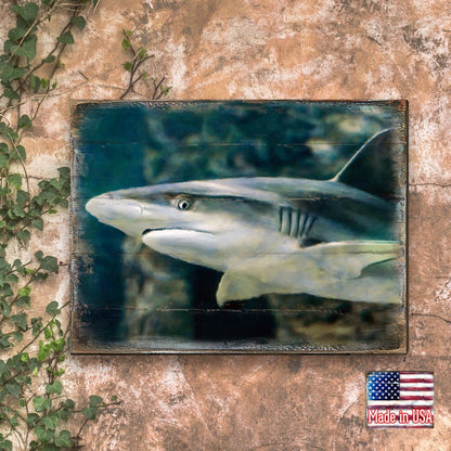 Zindanlari Shark Wooden Coastal Wall Art by Nature Wonders - Coastal Sea-Life Decor - 95324B-1