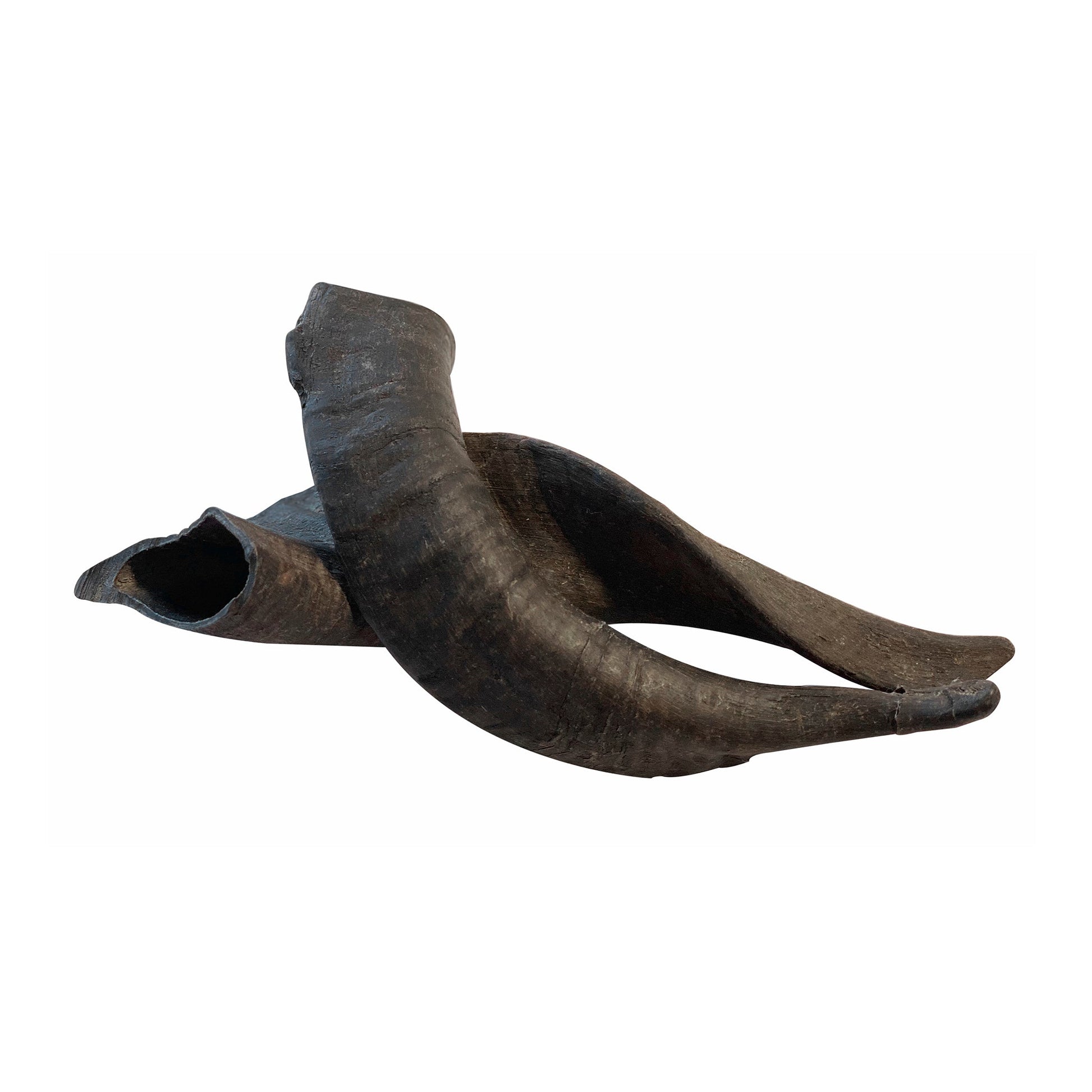 Mountain Goat Horn Dog Chews-10 Count-10 oz (WSP)-2