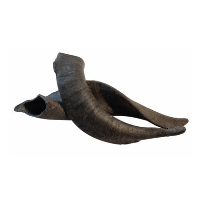 Mountain Goat Horn Dog Chews-10 Count-10 oz (WSP)-2