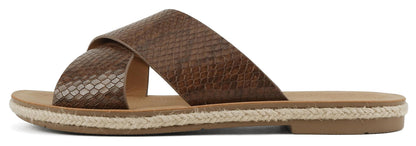 PRISM-S Brown Soda-1