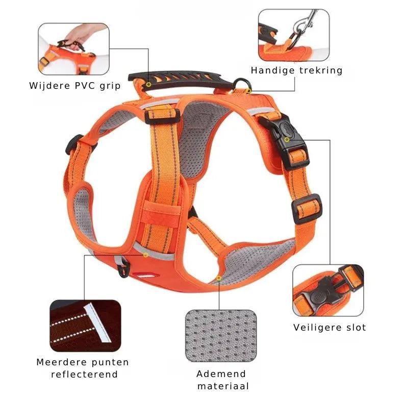 Reflective Stress- Relieving Harness