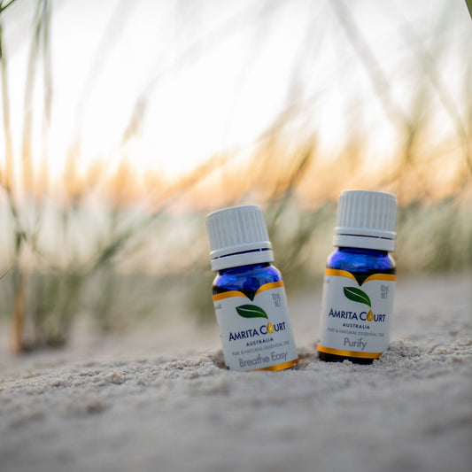 No Germ Duo Bundle | Purify + Breathe Easy Essential Oil Pair for Clean Air & Respiratory Support-0