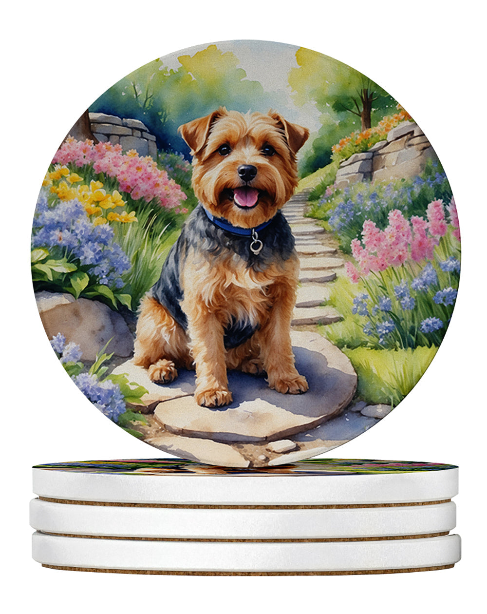 Norfolk Terrier Spring Path Large Sandstone Coasters Pack of 4-0