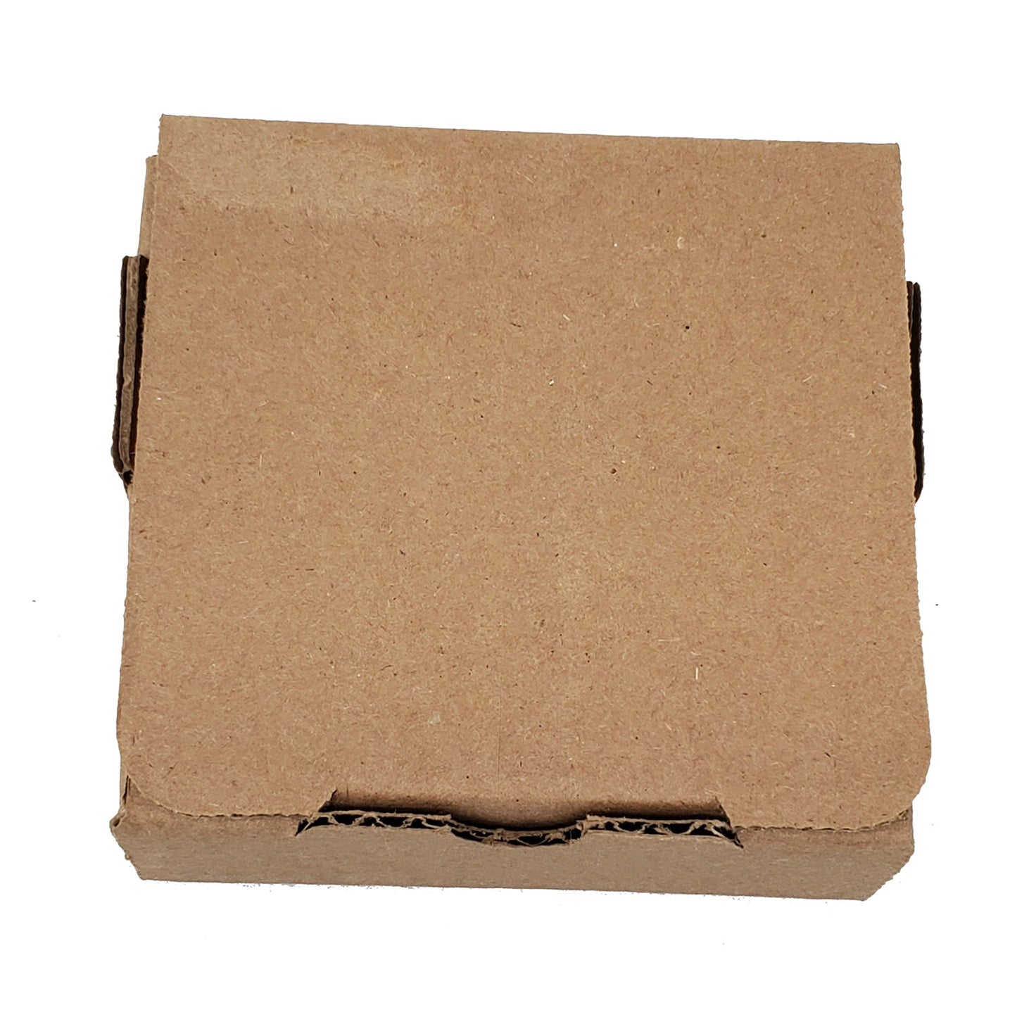 Norfolk Terrier Spring Path Large Sandstone Coasters Pack of 4-3