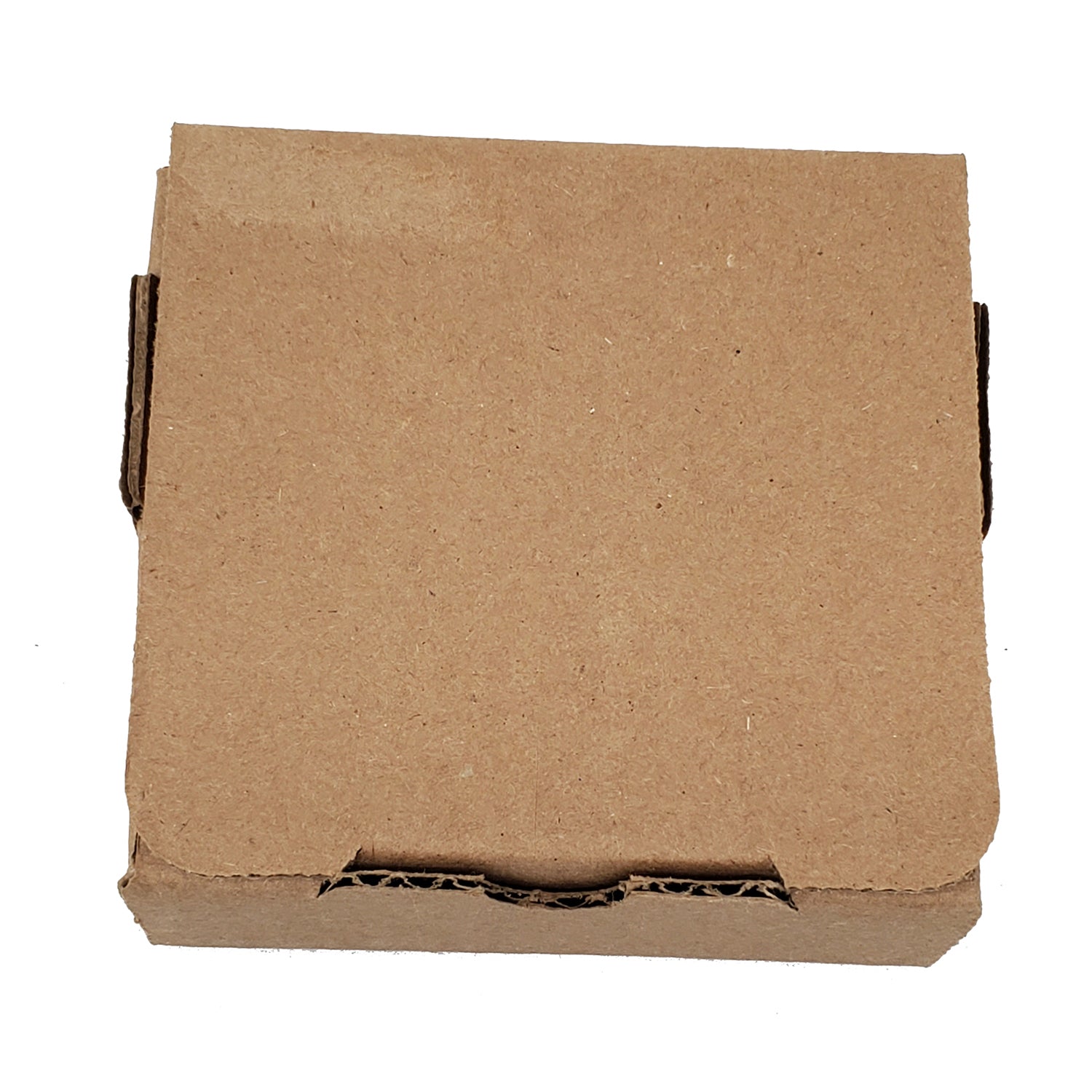 Norfolk Terrier Spring Path Large Sandstone Coasters Pack of 4-3