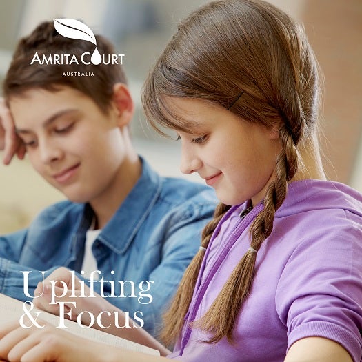 Enlighten+Wood Diffuser | Uplift Mood | Generate Energy | Productivity-4