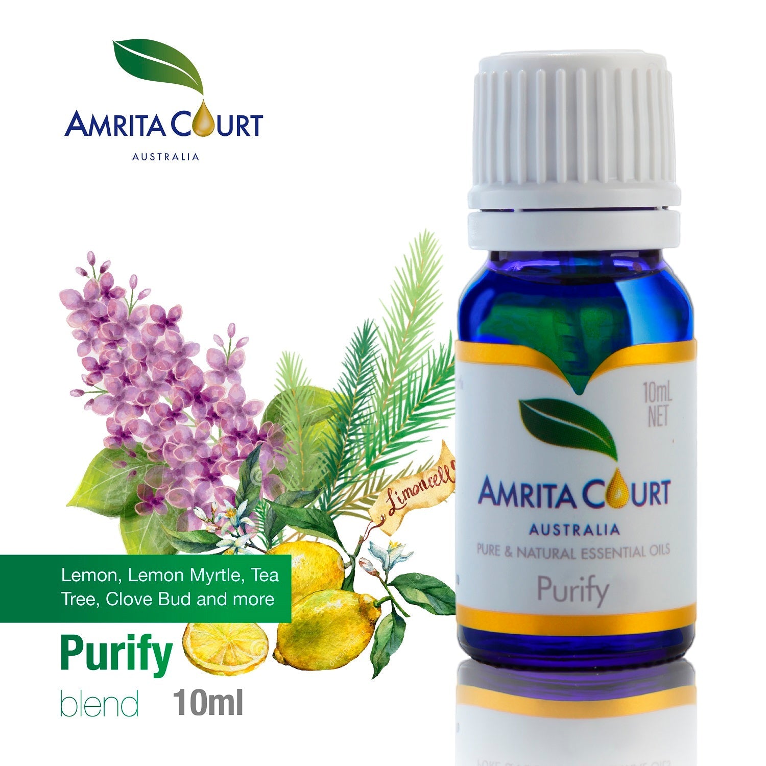 Purify Essential Oil Blend | Clean Air & Positive Energy | Pure Essential Oil Australia-0