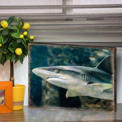 Zindanlari Shark Wooden Coastal Wall Art by Nature Wonders - Coastal Sea-Life Decor - 95324B-3