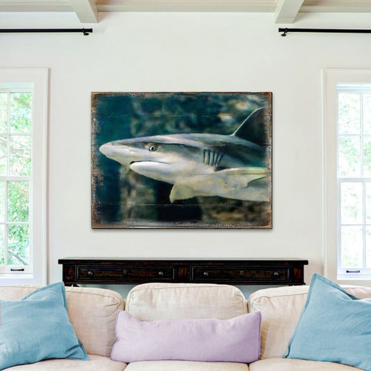 Zindanlari Shark Wooden Coastal Wall Art by Nature Wonders - Coastal Sea-Life Decor - 95324B-0