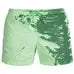 Men's Quick Dry Color Changing Beach Shorts